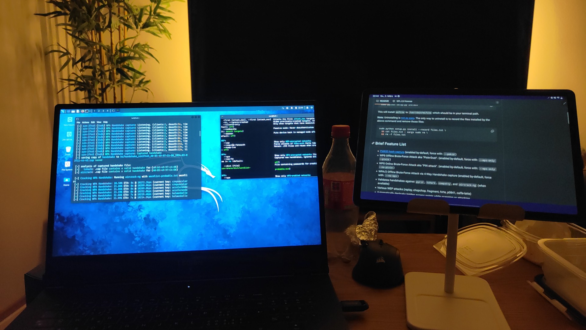 Cybersecurity & Pentesting
